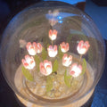 Tulip Night Light